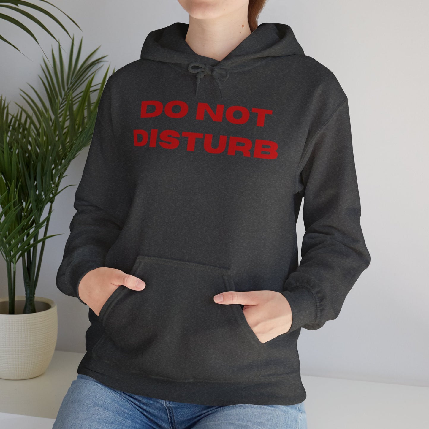 DO NOT DISTURB Unisex Hoodie