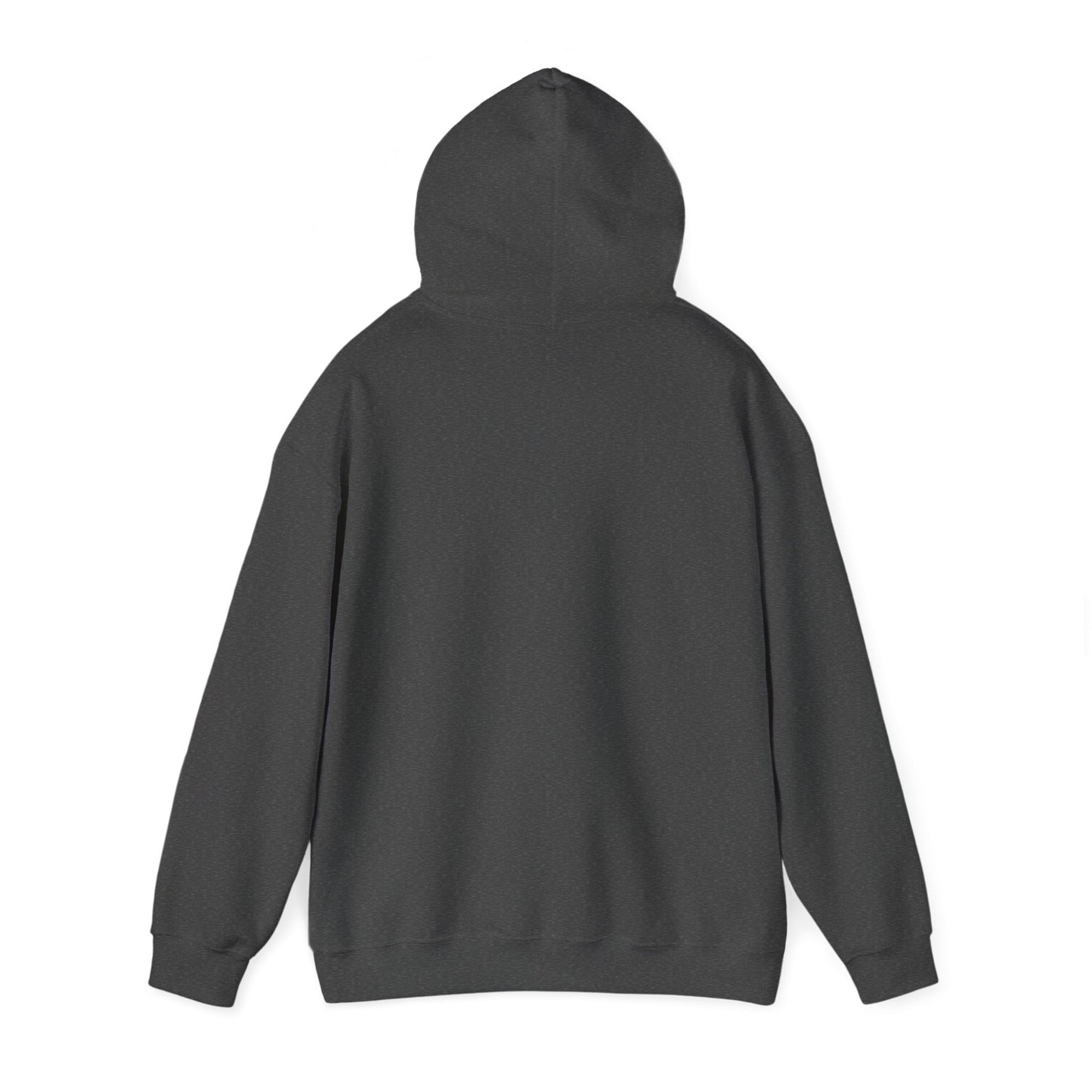 Satellite Unisex Hoodie