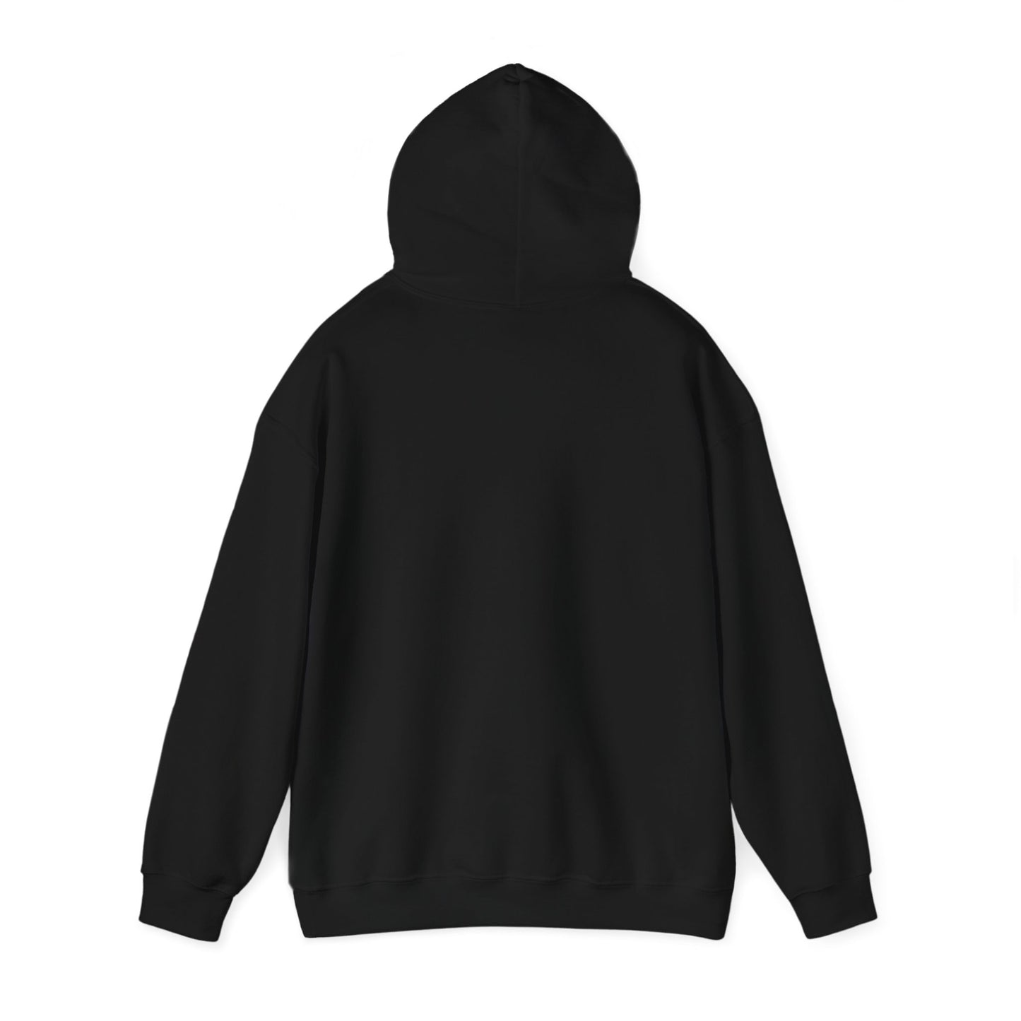 Satellite Unisex Hoodie